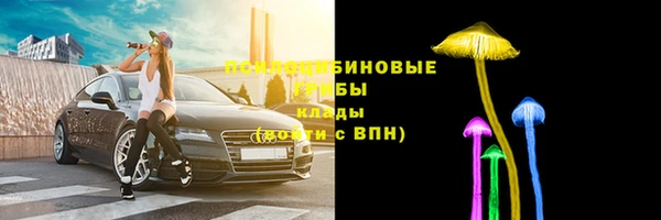 прущие крисы Осташков