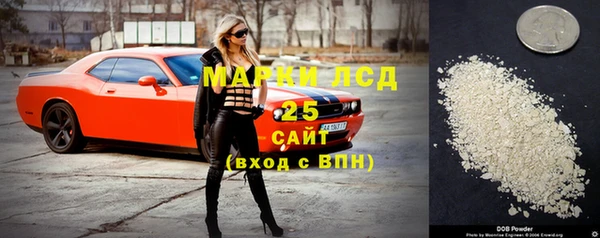 стафф Соликамск